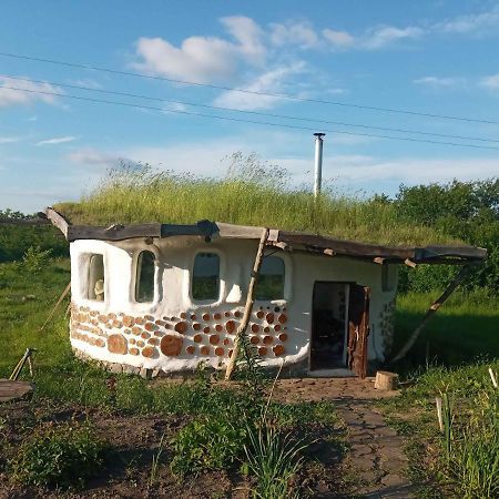 Villa Сказочный Дом à Buki  Extérieur photo